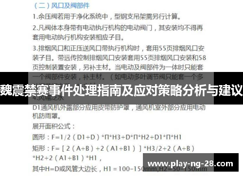 魏震禁赛事件处理指南及应对策略分析与建议