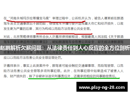 赵鹏解析欠薪问题：从法律责任到人心反应的全方位剖析