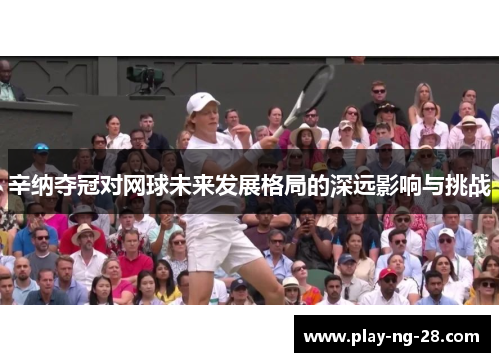 辛纳夺冠对网球未来发展格局的深远影响与挑战