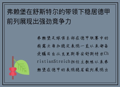 弗赖堡在舒斯特尔的带领下稳居德甲前列展现出强劲竞争力